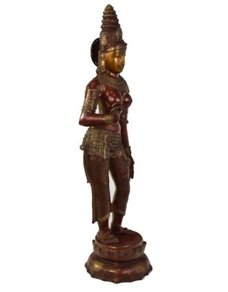 Mosazná socha bohyně Parvati, 19x26x115cm