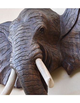 Sloní hlava vyřezaná ze dřeva stromu suar, 113x28x103cm