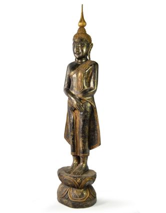 Narozeninový Buddha, neděle, teak, černo - zlatá patina, 63cm