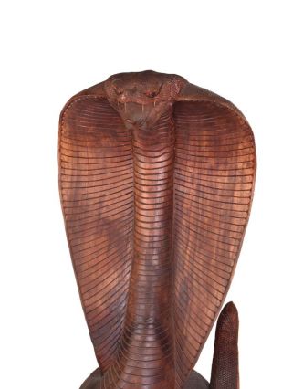 Kobra vyřezaná ze dřeva, ruční práce, dřevo suar, 43x150cm