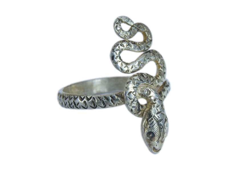 Stříbrný prsten Had, kroucený zdobený ocas, výška 25mm, 3g, Nepál